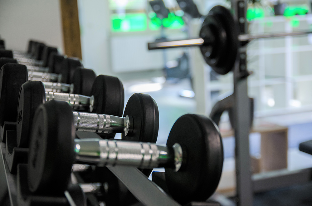 fitplus Brueck Hanteln